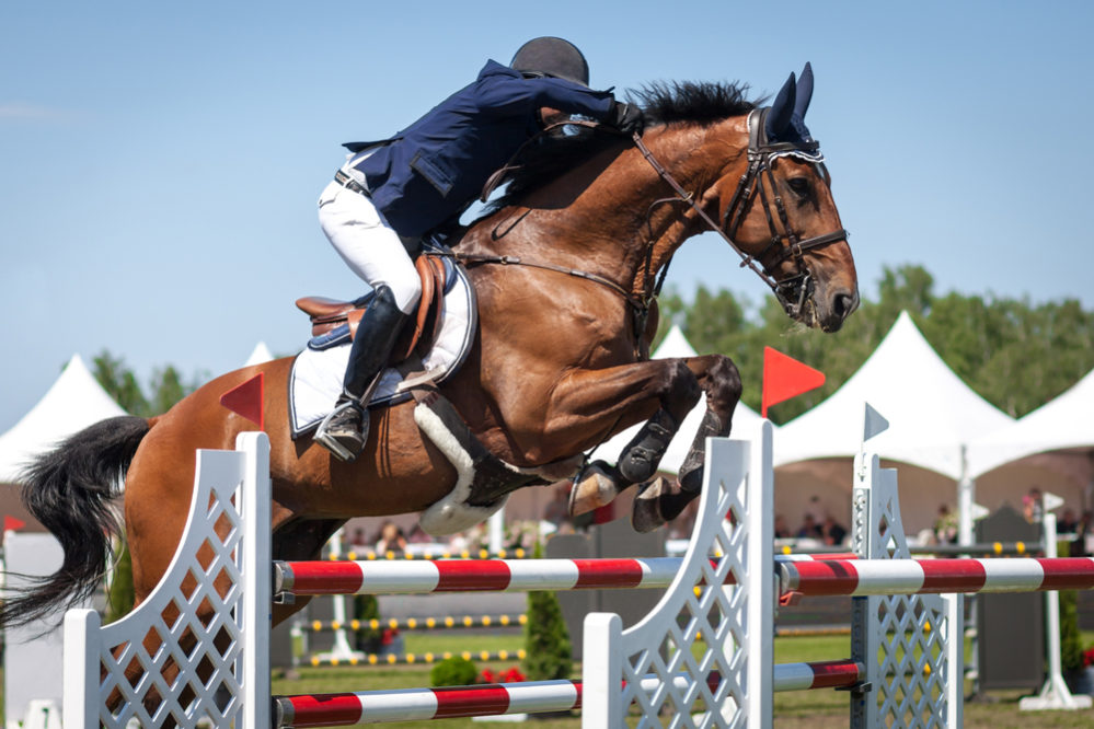 乗馬 パンツ キュロット WEMBLEY 36 ウェンブレー S M CAVALLO カバロ