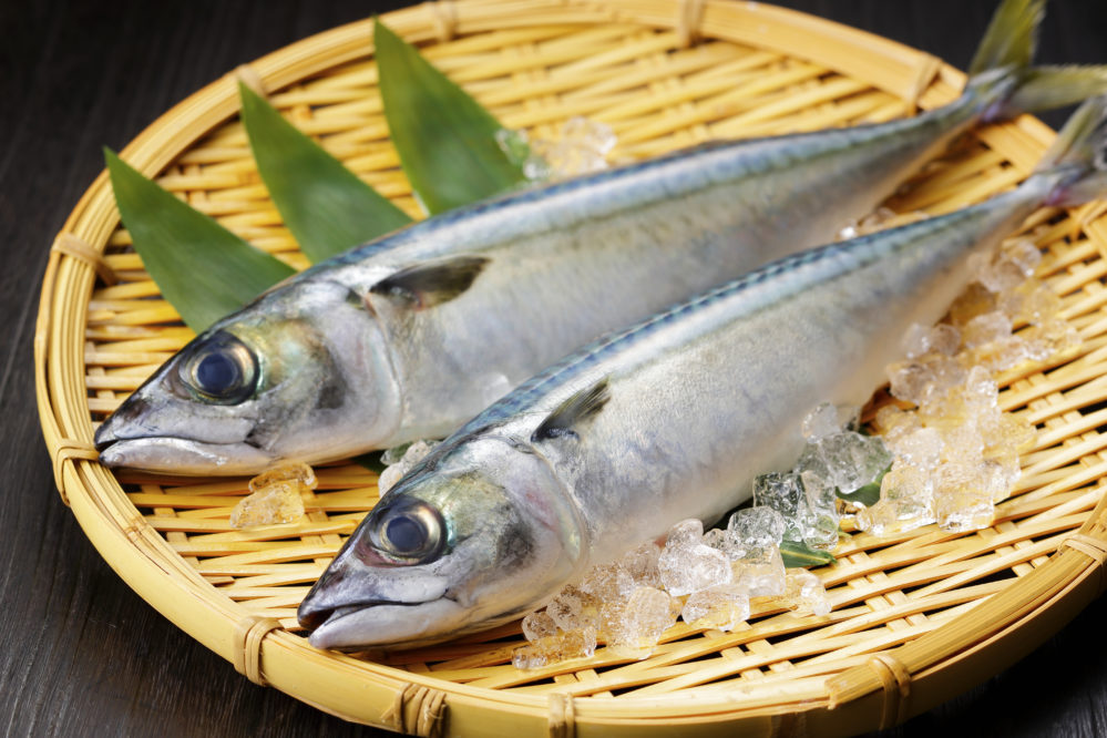 赤身魚 白身魚 青魚 の違いとは 気になる栄養の差とは スッキリ