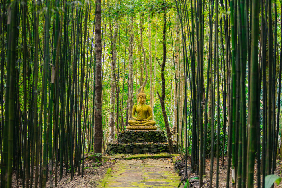 大乗 仏教 と 小乗 仏教 の 違い