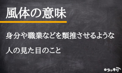 風貌、風格、風体、風采の違いを例文と一緒に解説!意味や類義語は? – スッキリ